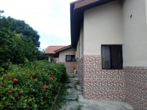Image 1 Title