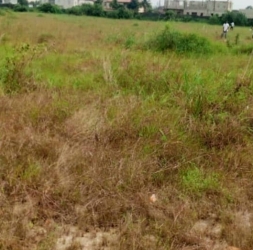 Governors Consent Dry Land Directly Opposite The Dangote Refinery At Ibeju Lekki 6 Plots of Land for Sale Ibeju Lekki Lagos Vetra  Property