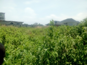 Distress Sales: 2 Plot Of Land @ The Back Of Shoprite Monastery Road Sangetedo Lekki Ajah 2 Plots of Land for Sale Ajah Lagos Vetra  Property