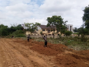 Cheap Land Land for Sale Enugu Enugu Vetra  Property