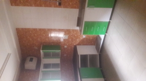 Image 1 Title