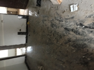 Image 1 Title