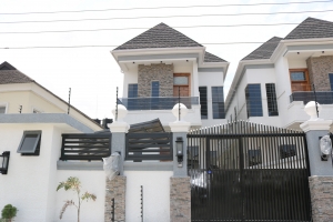 Image 1 Title