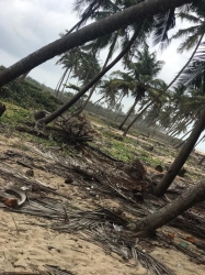 C Of O Land For Sale In Ibeju Lekki 600 Meter Square of Land for Sale Ibeju Lekki Lagos Vetra  Property