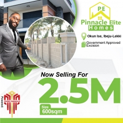 Pinnacle Elite Homes Land for Sale Ibeju Lekki Lagos Vetra  Property