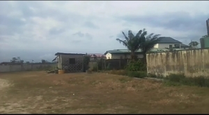 Image 1 Title
