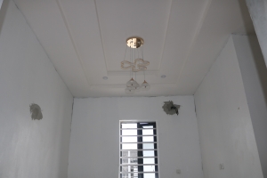 Image 1 Title