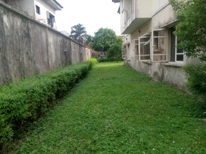 Image 1 Title
