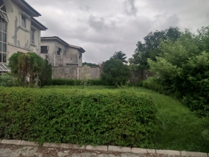 Image 1 Title