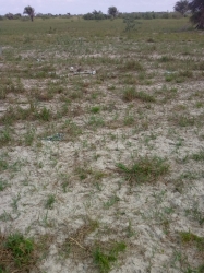 160 Acres Of Lands For Commercial And Industrial Development 160 Acres of Land for Sale Ibeju Lekki Lagos Vetra  Property