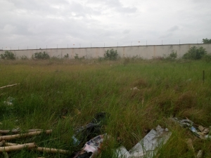 Image 1 Title