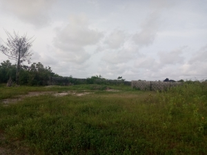 2 Plots Of Dwarf Fenced Land With Certificate Of Occupancy 2 Plots of Land for Sale Ibeju Lekki Lagos Vetra  Property