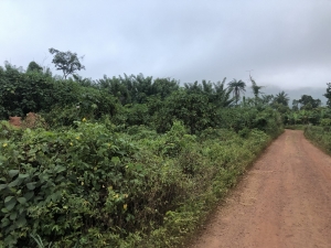 A Plot Of Land With Foundation On It Available Around Shasha Fagbon Along Ikere Road Ado Ek 1 Plot of Land for Sale Ado Ekiti Ekiti Vetra  Property