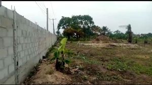  Dry Cornerpiece Land Measuring 11 Acres (8m/plot)  11 Acres of Land for Sale Ibeju Lekki Lagos Vetra  Property