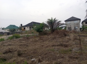  Full Plot Of Dry Land  Land for Sale Ajah Lagos Vetra  Property