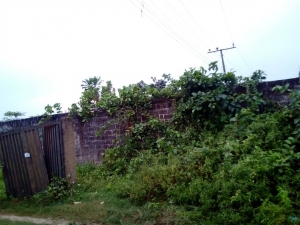 Image 1 Title