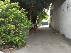 Image 1 Title