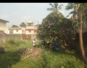  Vacant Plot Of Dry Land  Land for Sale Isolo Lagos Vetra  Property