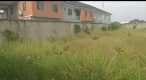  Bare Dry Land Measuring 1,000m²  Land for Sale Badagry Lagos Vetra  Property