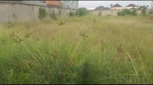 Image 1 Title