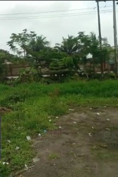 Image 1 Title