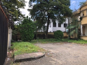 Image 1 Title