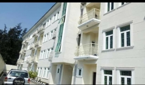  Exquisitely & Newly Finished Serviced 4bedroom Townhouse With Bq  4 bedroom House for Sale Ikoyi Lagos Vetra  Property