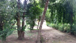  Commercial Plot Of 4,850sqm Land  Land for Sale Jabi Abuja Vetra  Property