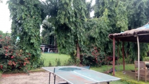 Image 1 Title