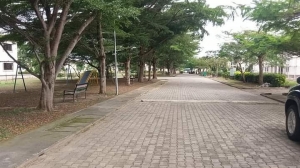 Image 1 Title