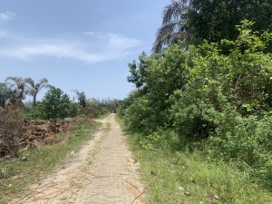  Land For Sale (820)  Land for Sale Ajah Lagos Vetra  Property