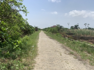 Image 1 Title