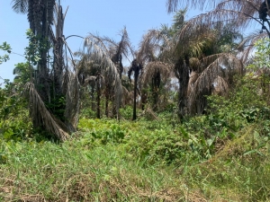  Land  Land for Sale Lekki Lagos Vetra  Property