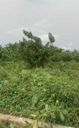  1200 Square Metres For Sale  Land for Sale Ajah Lagos Vetra  Property