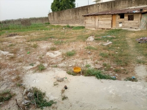 Image 1 Title
