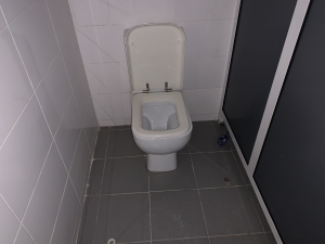 Image 1 Title