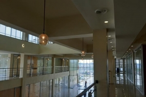 Image 1 Title