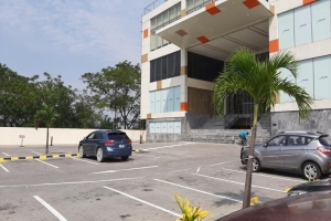 Image 1 Title