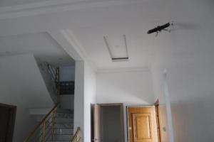 Image 1 Title