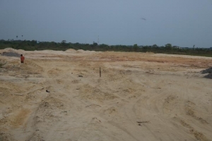 Image 1 Title