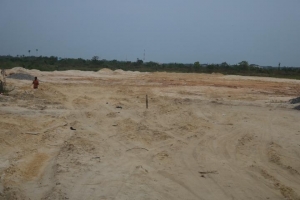 Image 1 Title