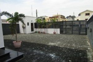 Image 1 Title