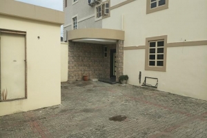 Image 1 Title