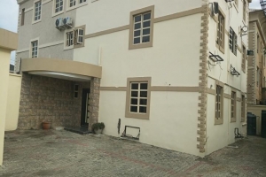 Image 1 Title