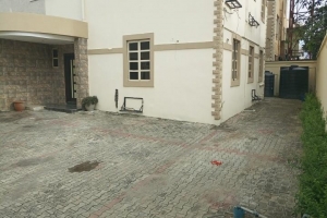 Image 1 Title