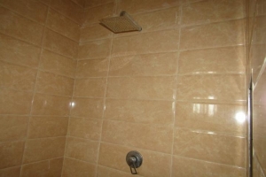Image 1 Title