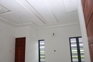 Image 1 Title
