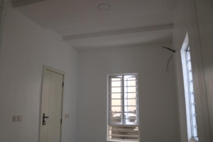 Image 1 Title