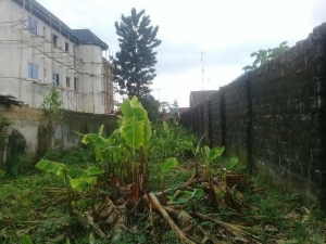 Well Located 10 Plots Of Dry And Firm Land At Eneka 10 Plots of Land for Sale Port Harcourt Rivers Vetra  Property