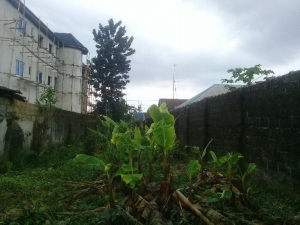 Image 1 Title